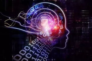 大學專業同名不同校,畢業后到手的學歷都可能大不同